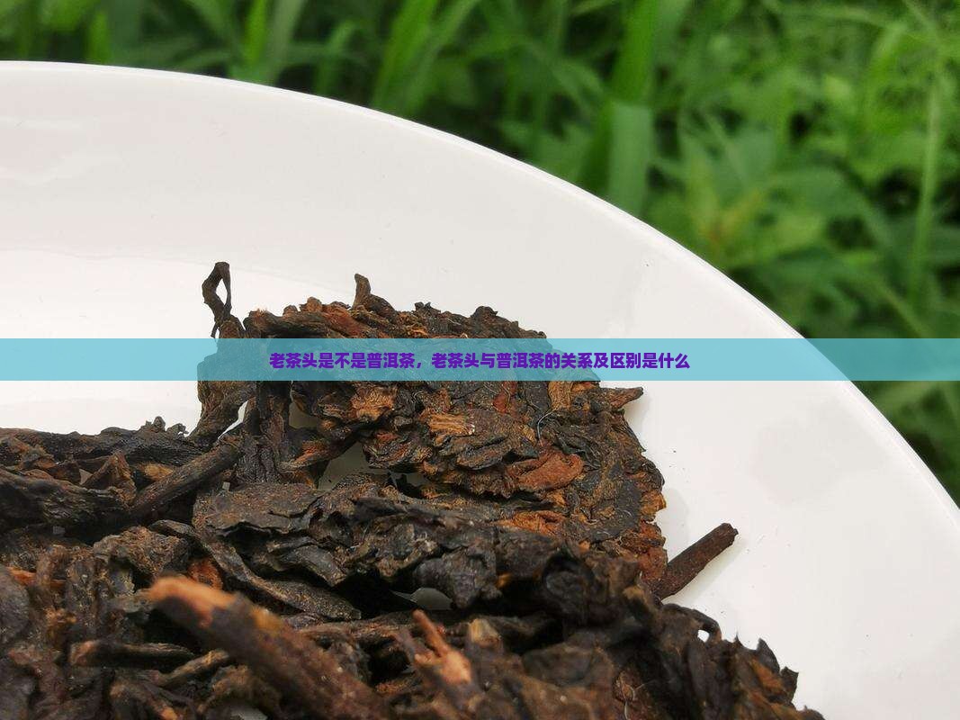 老茶头是不是普洱茶