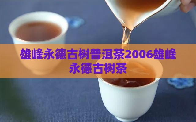 雄峰永德古树普洱茶