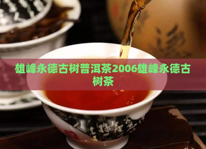 雄峰永德古树普洱茶