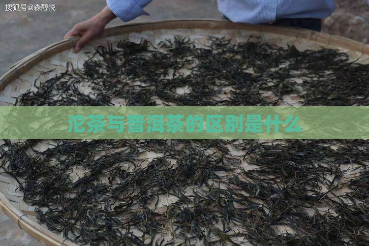 沱茶与普洱茶有什么区别吗
