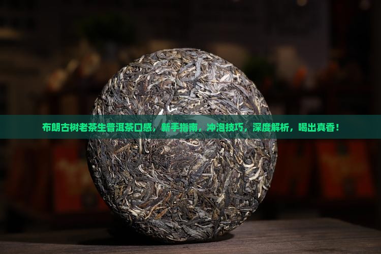 布朗古树老茶生普洱茶口感