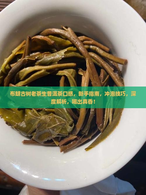 布朗古树老茶生普洱茶口感