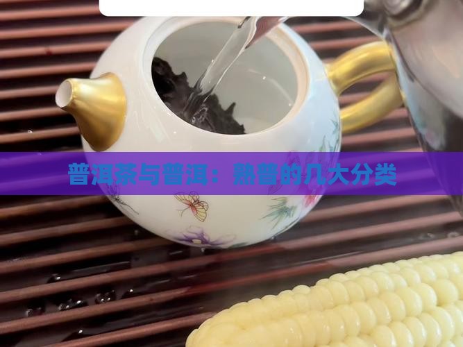 茶有几大类熟普
