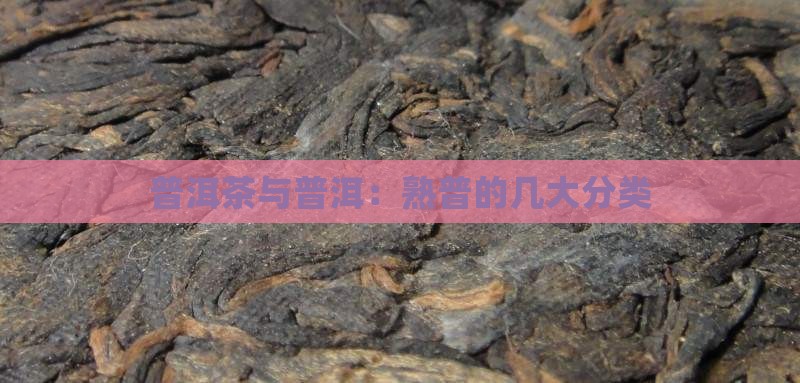 茶有几大类熟普