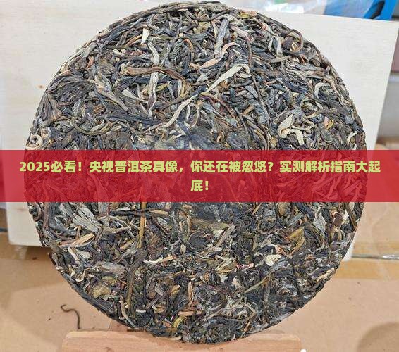 央视说普洱茶是真的吗还是假的