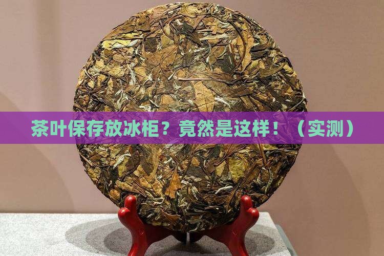 茶叶保存放冰柜