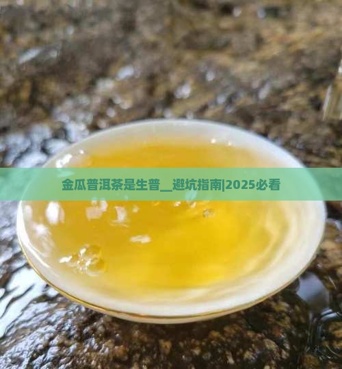 金瓜普洱茶是生普