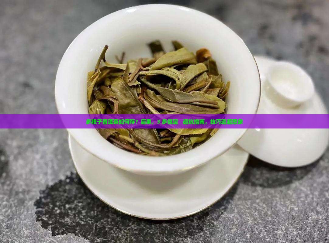 多牌子普洱茶如何存