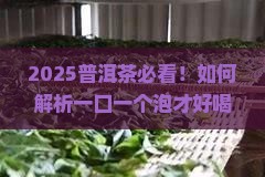 普洱茶要一口一个泡出来才好喝