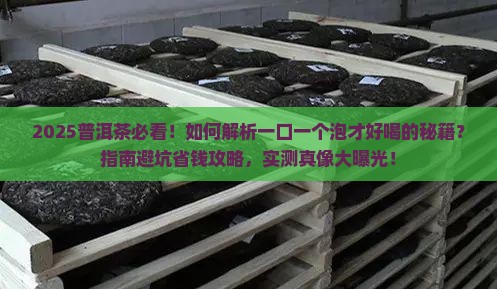 普洱茶要一口一个泡出来才好喝