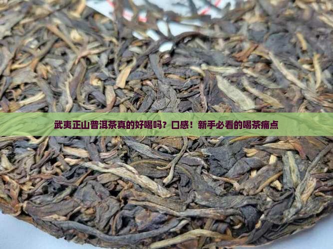 武夷正山普洱茶的口感特点