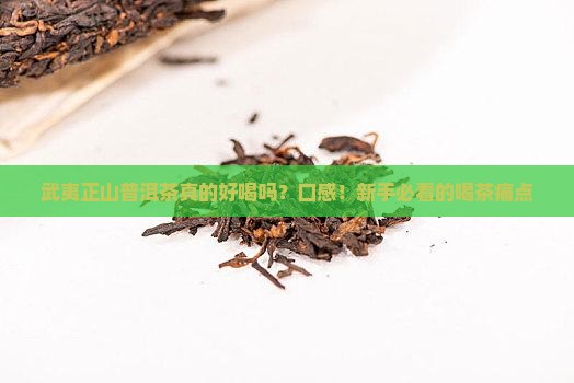 武夷正山普洱茶的口感特点