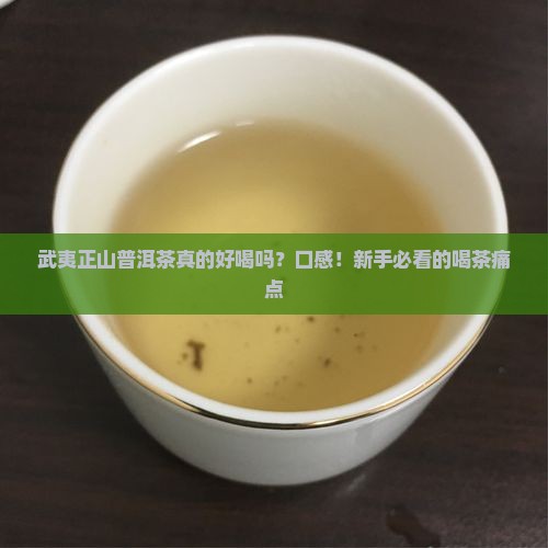 武夷正山普洱茶的口感特点