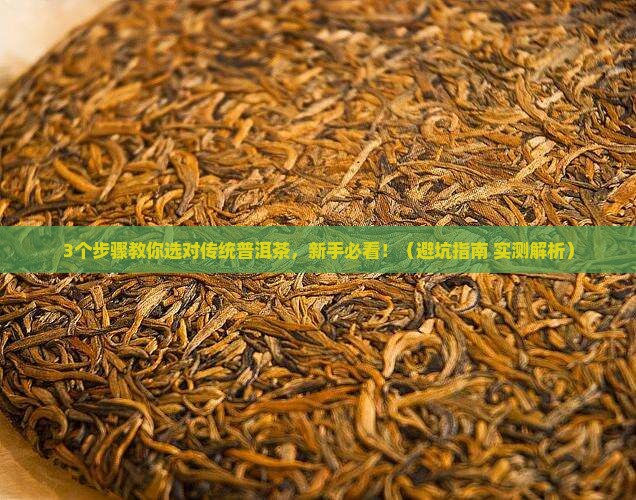 传统普洱茶选用哪一种茶