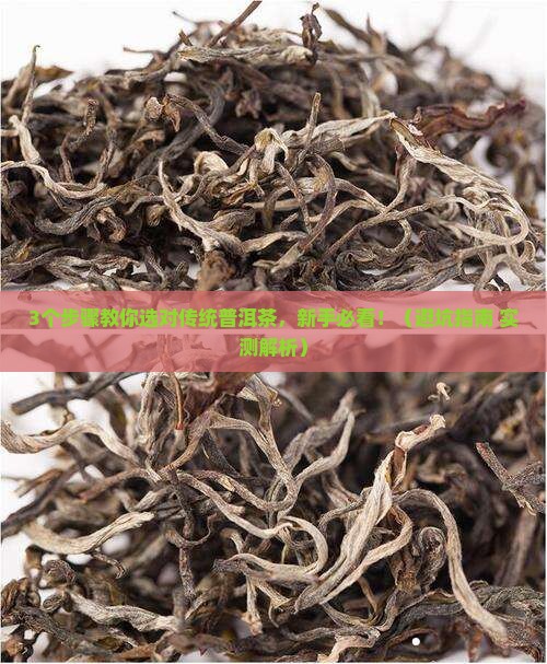传统普洱茶选用哪一种茶