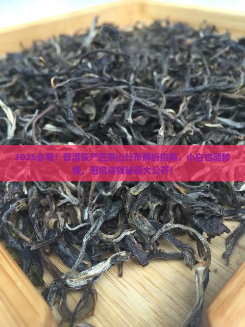 普洱茶产区茶山分布