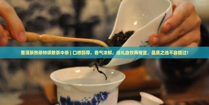 普洱茶熟茶特级散茶中茶