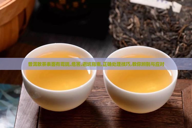 普洱散茶表面有霉斑