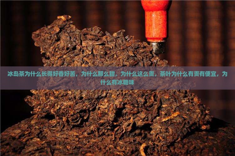冰岛茶为什么长得好香好苦