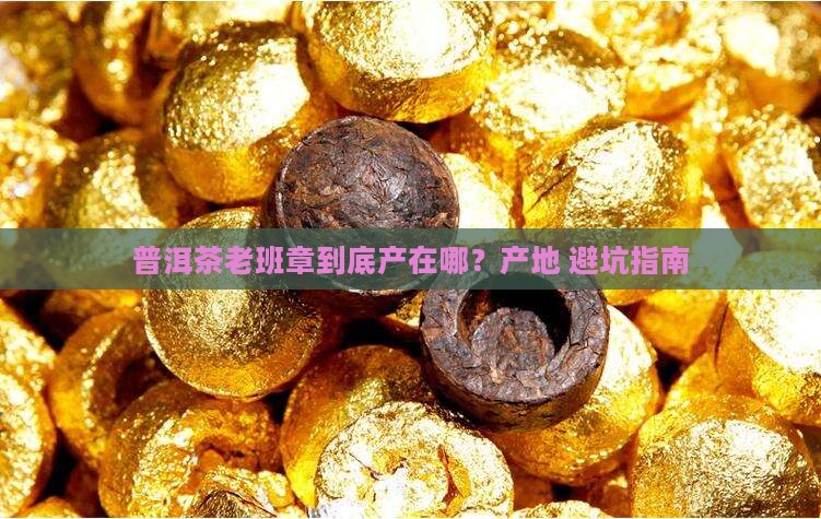 普洱茶老班章产地
