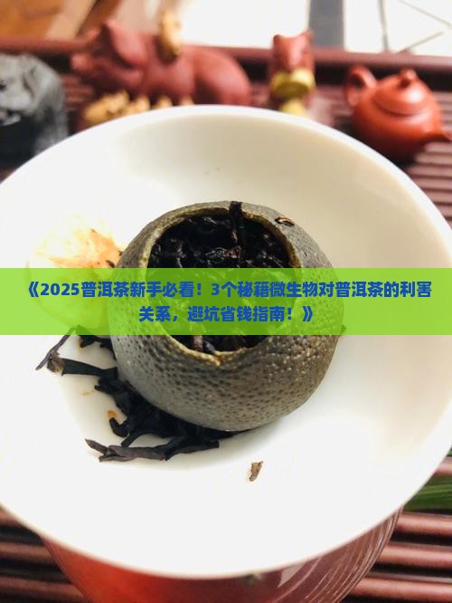 微生物对普洱茶的利害关系