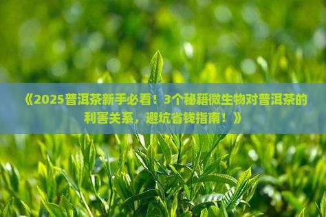 微生物对普洱茶的利害关系
