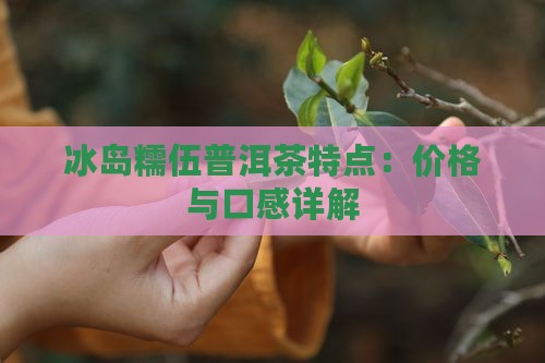 冰岛糯伍普洱茶特点