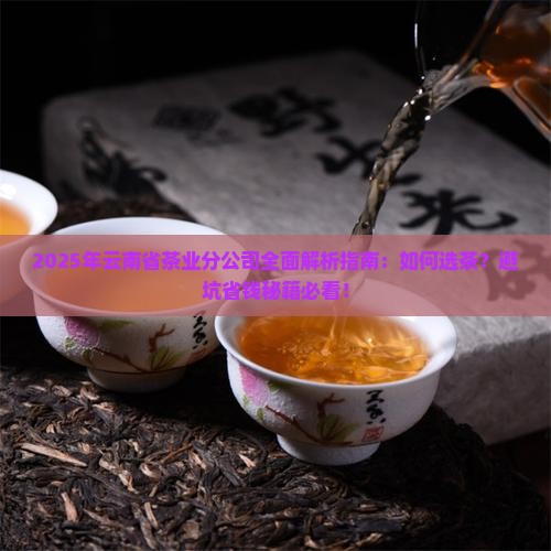 云南省茶业分公司