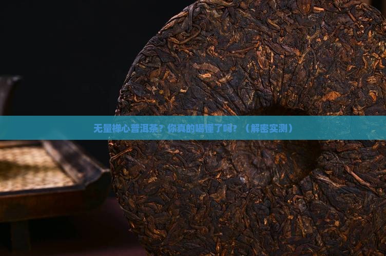 无量禅心普洱茶