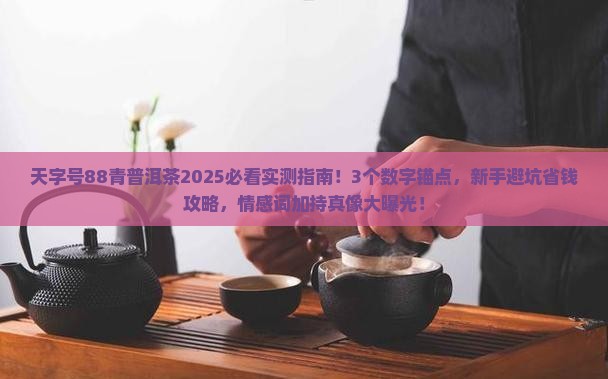 天字号88青普洱茶