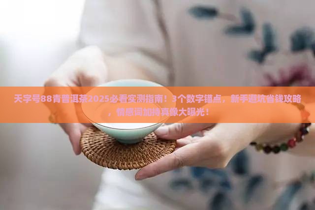 天字号88青普洱茶