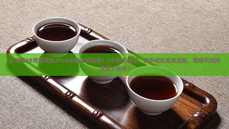 天字号88青普洱茶