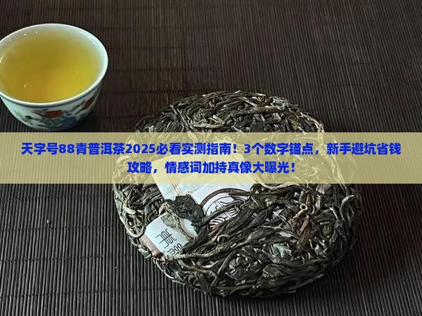天字号88青普洱茶