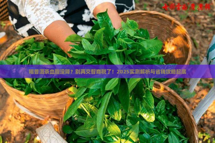 喝普洱茶血脂没降下来了