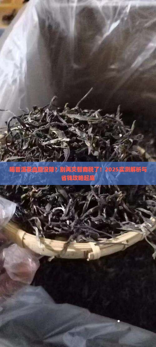 喝普洱茶血脂没降下来了