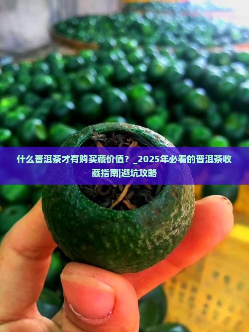 什么普洱茶才有购买藏价值