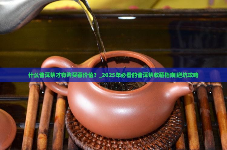 什么普洱茶才有购买藏价值