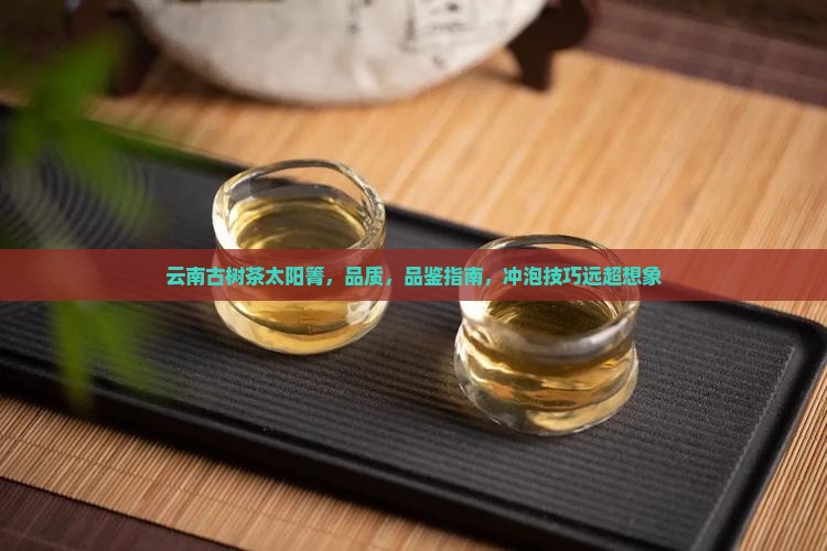 云南古树茶太阳箐