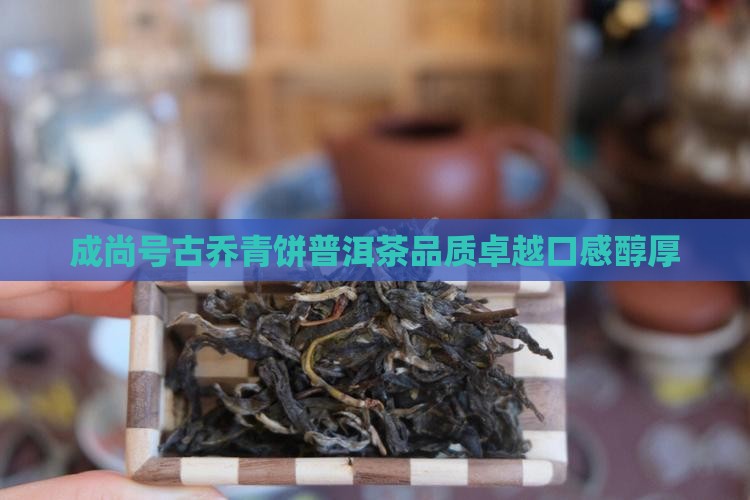 成尚号古乔青饼普洱茶