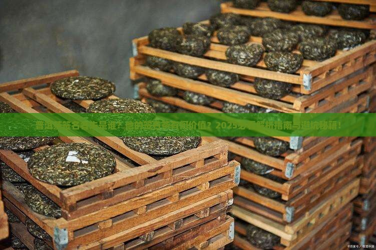 普洱茶签名者朱
