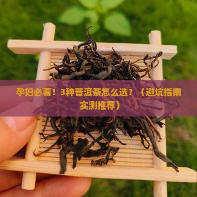 孕妇普洱茶推荐哪种茶叶