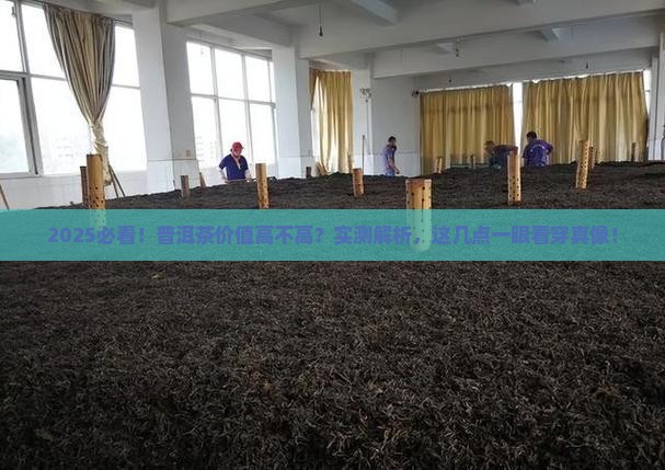普洱茶怎么看价值高不高