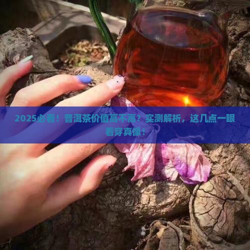 普洱茶怎么看价值高不高