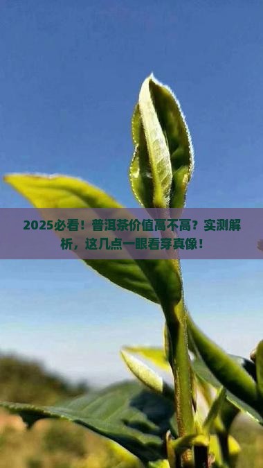 普洱茶怎么看价值高不高