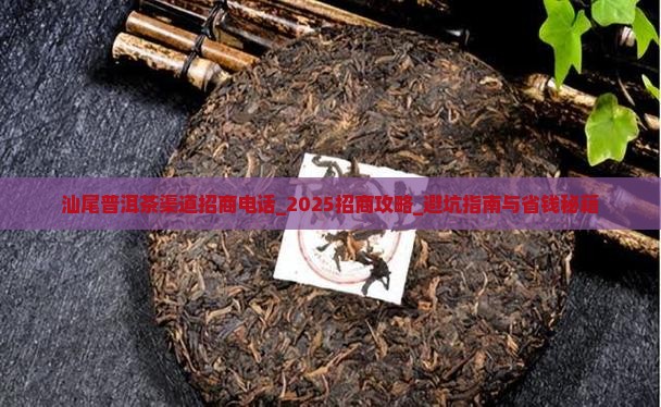 汕尾普洱茶渠道招商电话