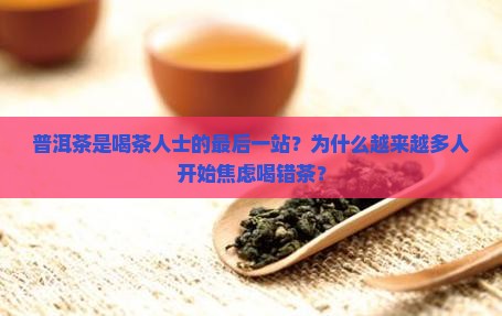 普洱茶是喝茶人士的最后一站