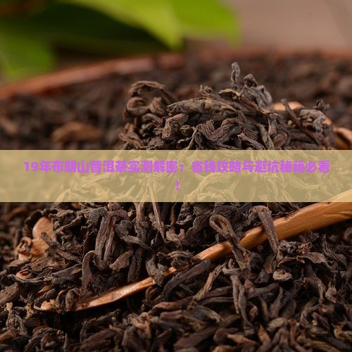 19年布朗山普洱茶