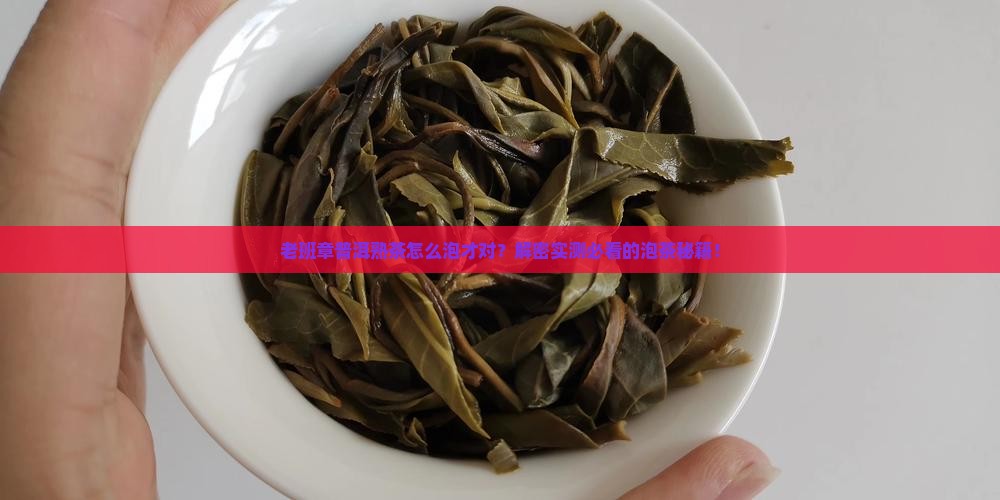 老班章普洱熟茶的泡法