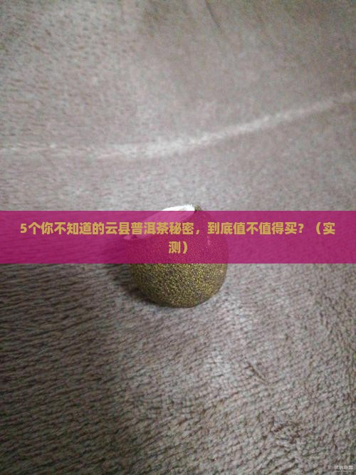 云县有名的普洱茶