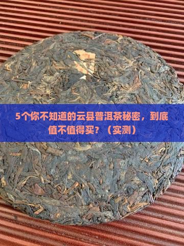 云县有名的普洱茶